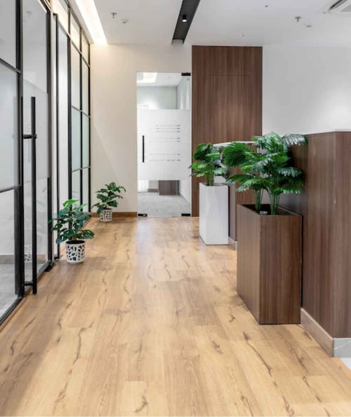 Solicitar información